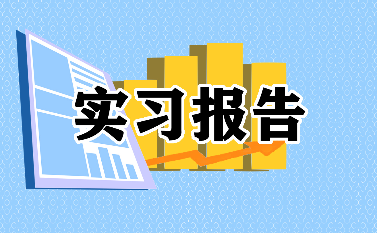 实习报告总结必备模板