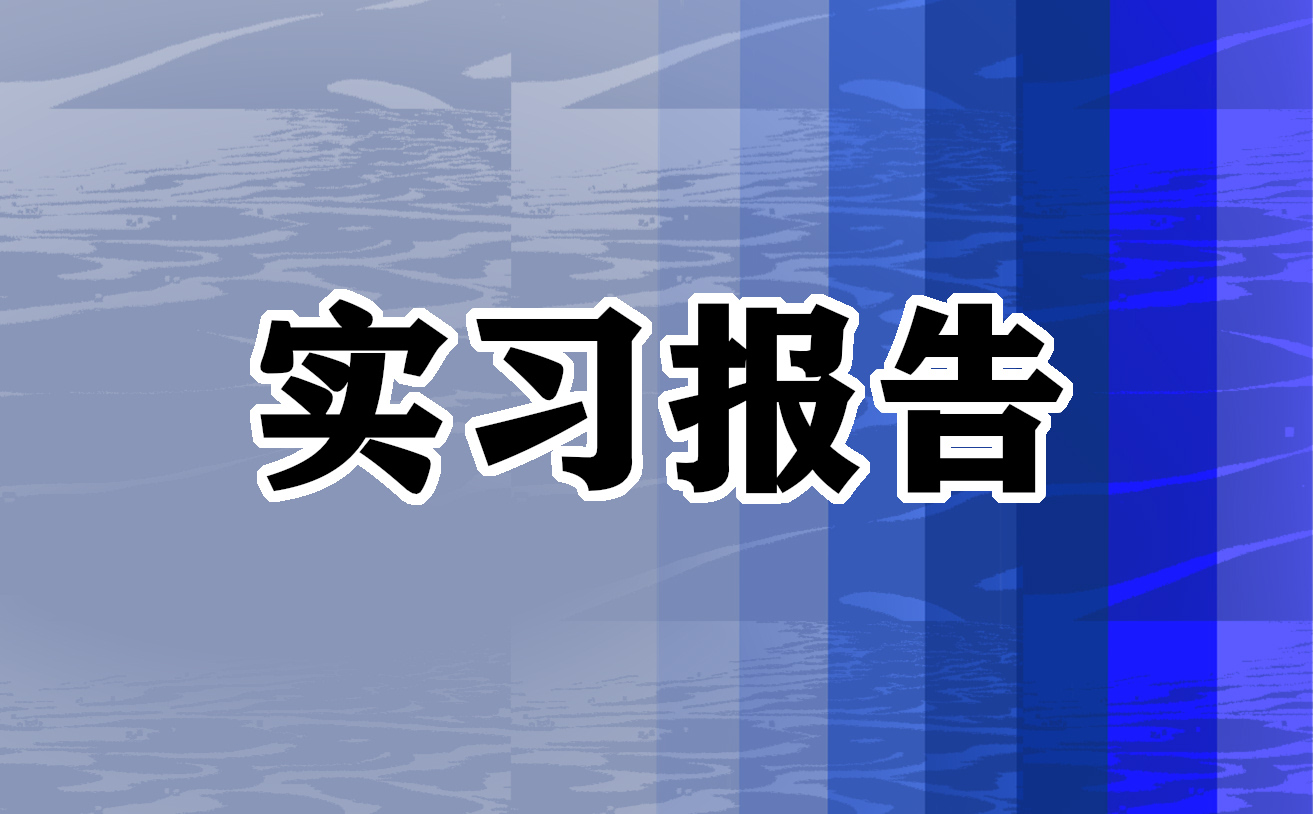 实习生月度工作总结大全