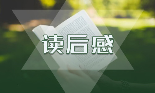 堂吉诃德读书心得感想小学范文600字