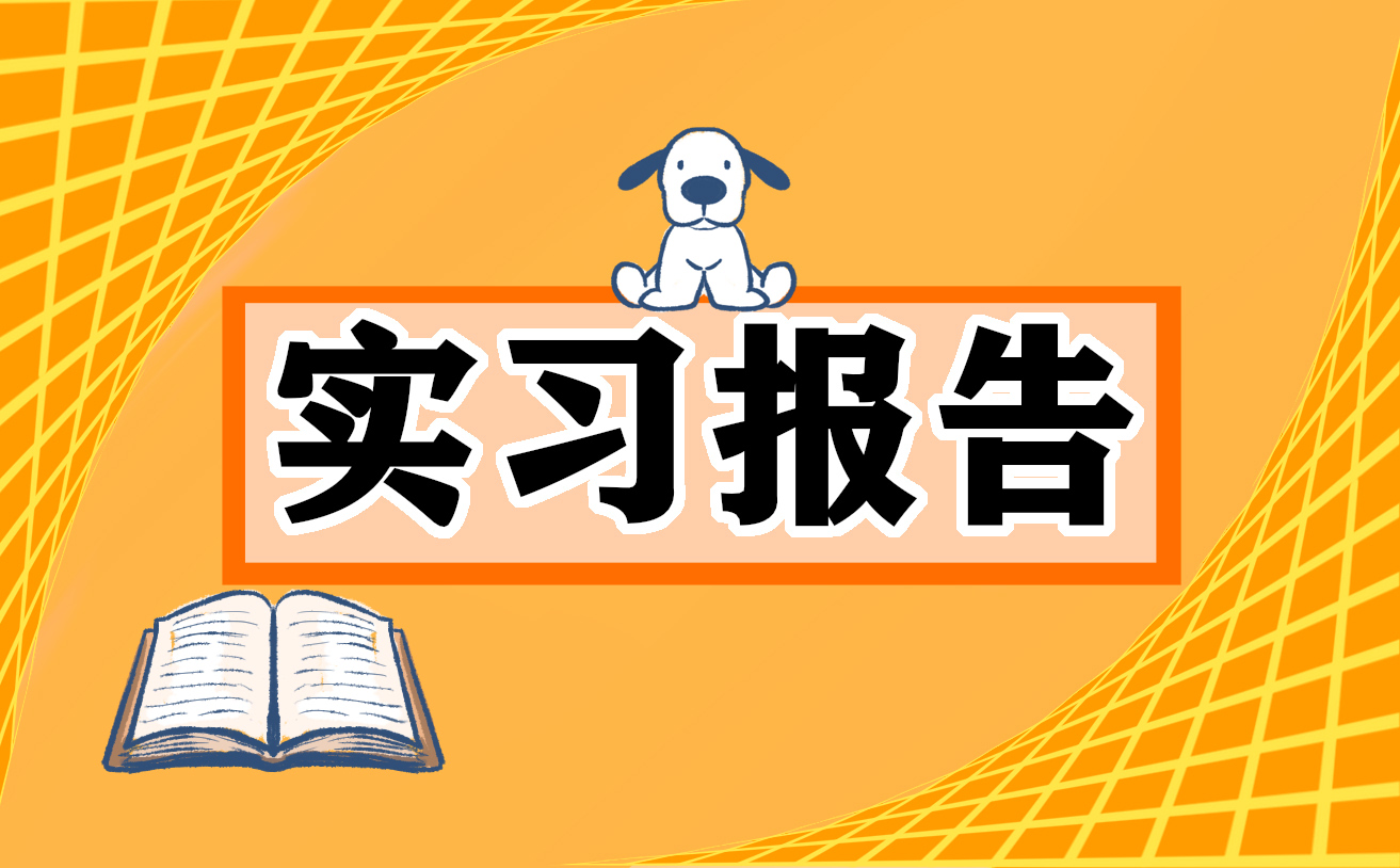 实习报告的心得体会与总结(精选10篇)