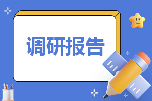 2023年大学生上网情况调查报告