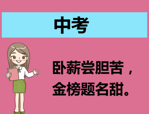 浙江中考改革2024最新规定